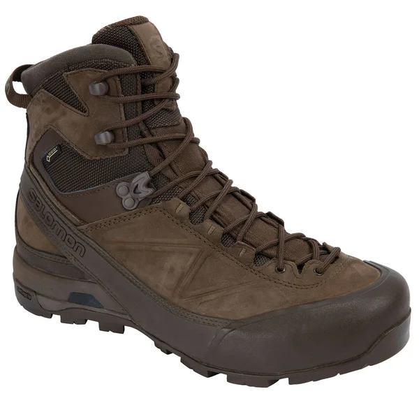 Salomon x Alp Mtn GTX Forces Slate Black