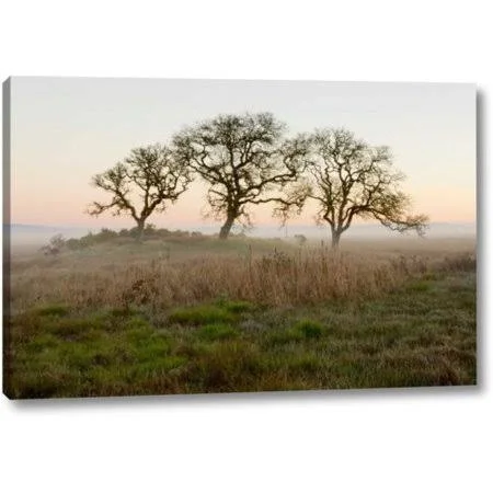 Winston Porter 'Oak Tree - 31' by Alan Blaustein Giclee Art Print on Wrapped Canvas, Size: 16 inch H x 24 inch W x 1.5 inch D, G