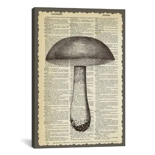 Icancas Mushroom Gallery Wrapped Canvas Art Print by Erin Clark