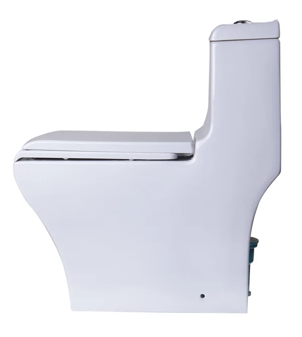 Eago TB356 Dual Flush One Piece Eco-Friendly High Efficiency Low Flush Ceramic Toilet