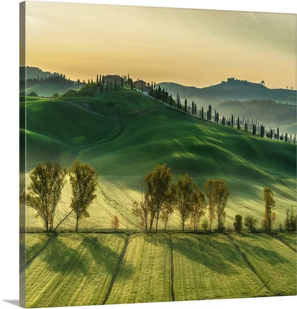 Sunny Tuscany, Canvas Wall Art, 20x20, Great Big Canvas