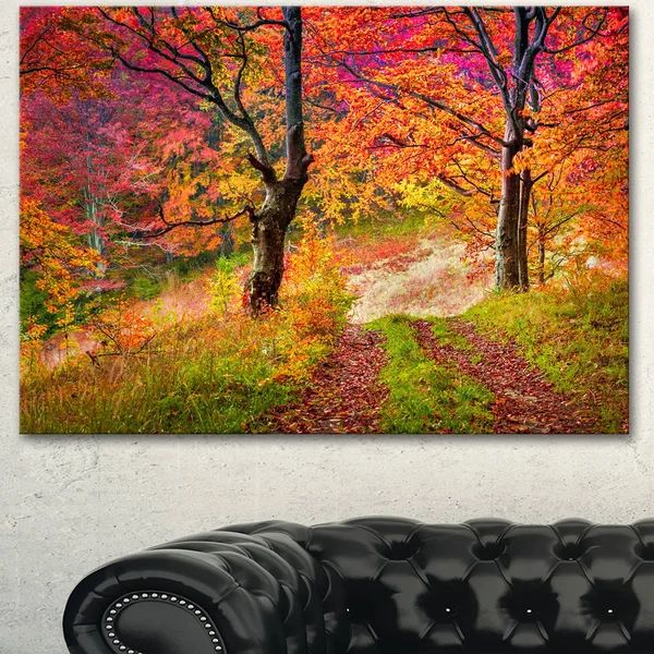 Design Art &Bright Colorful Fall Trees in Forest& Photographic Print on Wrapped Canvas - Size: 30 inch x 40 inch, Orange