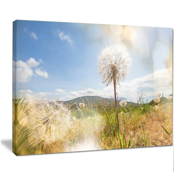 Design Art &Blooming Dandelion Under Bright Sky& Photographic Print on Wrapped Canvas, Size: 30 inch x 40 inch, White
