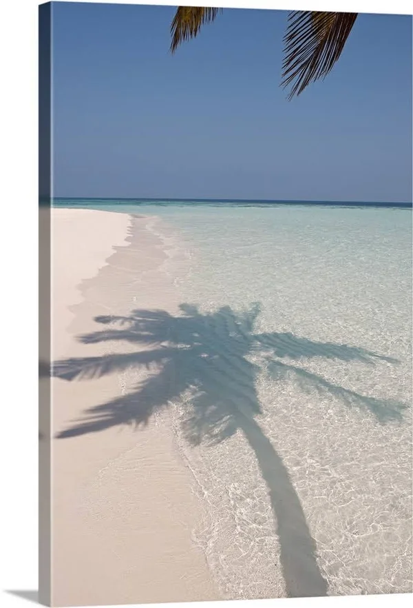Shadow of A Palm Tree on A Deserted Island Beach, Canvas Wall Art, 24x36, Great Big Canvas