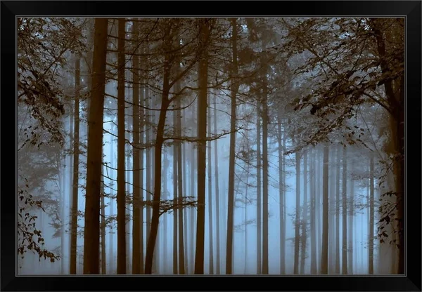 Trees Path Sepia, Black Framed Wall Art, 36x24, Great Big Canvas