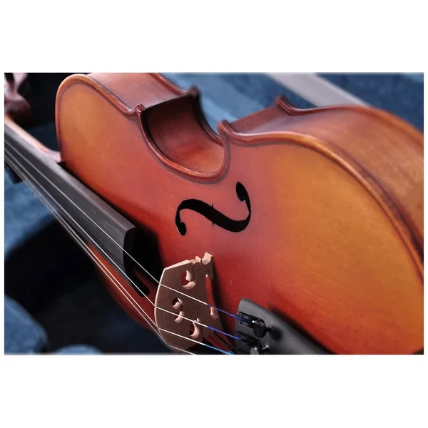 AplusBuy 4/4 Full Size Handmade Violin Stradivari Copy Style Fiddle Case Bow Set
