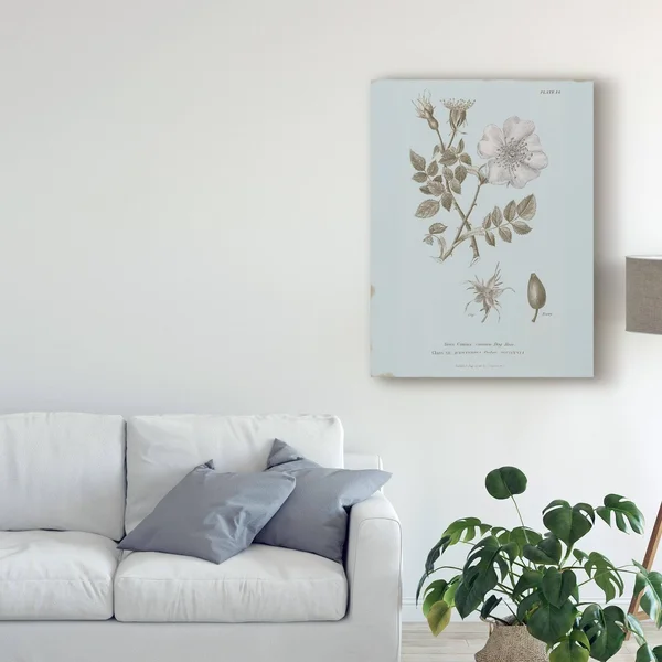 Wild Apple Portfolio 'Conversations on Botany IV Blue' Canvas Art 35x47