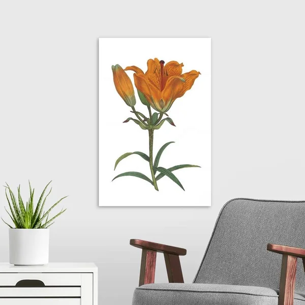 Antique Botanical XX on White - Canvas Wall Art, 16x24, Great Big Canvas