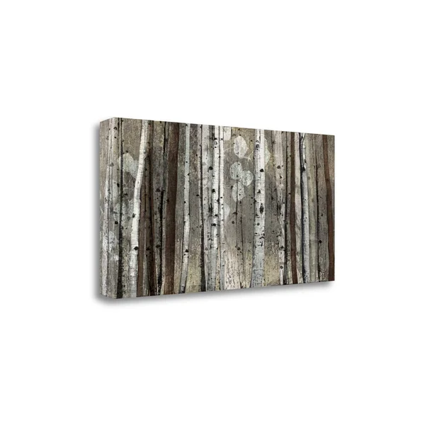 Tangletown Fine Art Silver Lining by Tandi Venter, Giclee Print on Gallery Wrap Canvas, 39x22x20x22