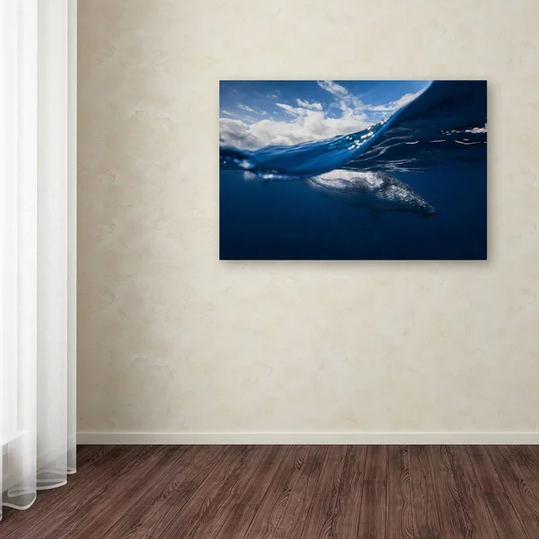 Trademark Art Barathieu Gabriel 'Humpback Whale and The Sky' Canvas Art - ShopLadder