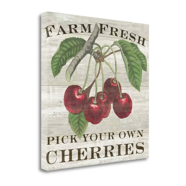 30x22 x 30x22 Farm Fresh Cherries by Sue Schlabach Fine Art Giclee Print