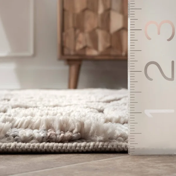 nuLOOM Deja Diamond Shag Area Rug, 7& 10x22 x 10& 10