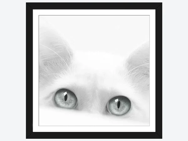 Framed Poster Prints - Diva by Jon Bertelli ( Animal Art > Cats art)