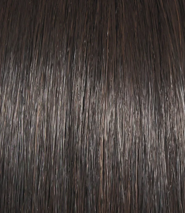 Raquel Welch Salsa Large Synthetic Wig - R13F25 Praline Foil
