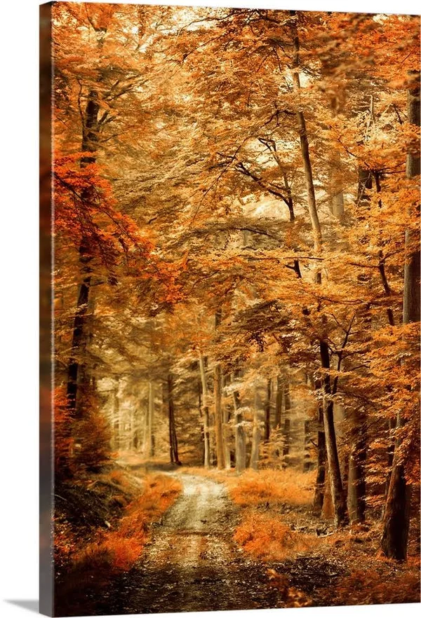 Autumn Secret - Canvas Wall Art, 32x48, Great Big Canvas