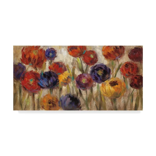Trademark Fine Art 'Asters and Mums' Canvas Art by Silvia Vassileva, Size: 24 x 47