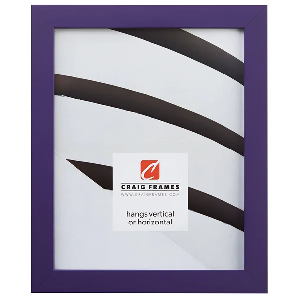 Craig Frames Inc Confetti Modern Solid Wood Picture Frame 140 - Purple