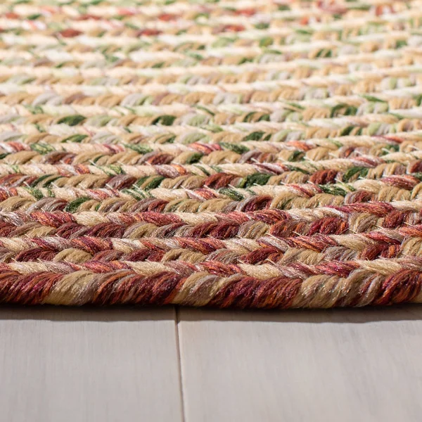 Safavieh Handmade Braided Jemima Country Rug - 10& x 14& - Rust/Multi