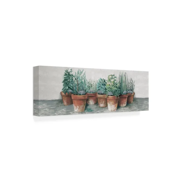 Trademark Art Carol Rowan 'Pots of Herbs II Cottage v2' Canvas Wall Art