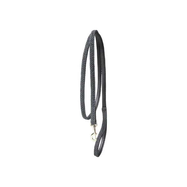 Kentucky Dog Lead Plaited Nylon
