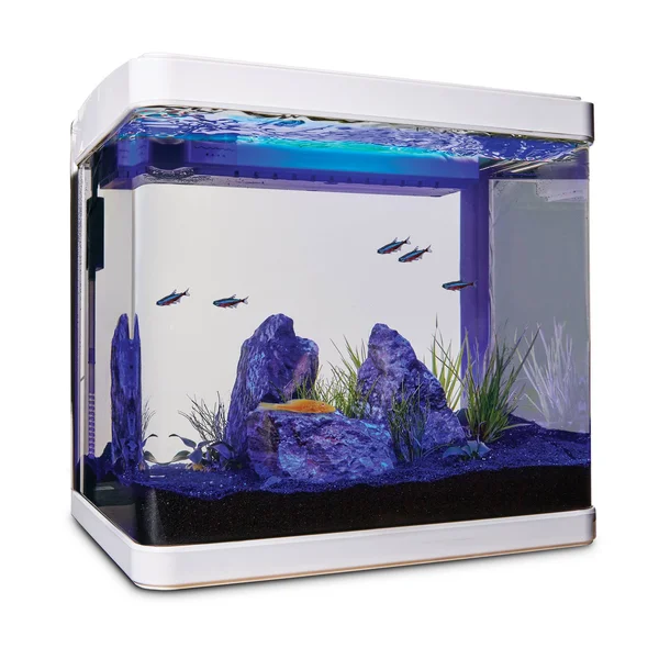 Imagitarium Freshwater Cube Aquarium Kit - 5.2 Gal