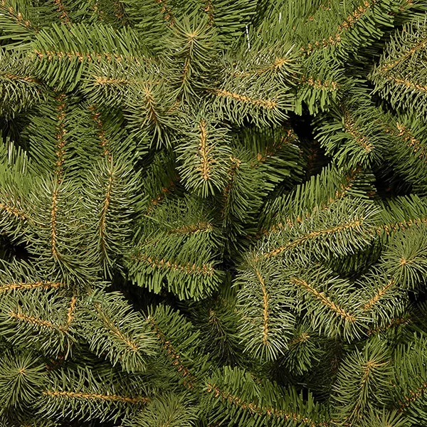 National Tree 7& Feel Real Downswept Douglas Fir Hinged Tree