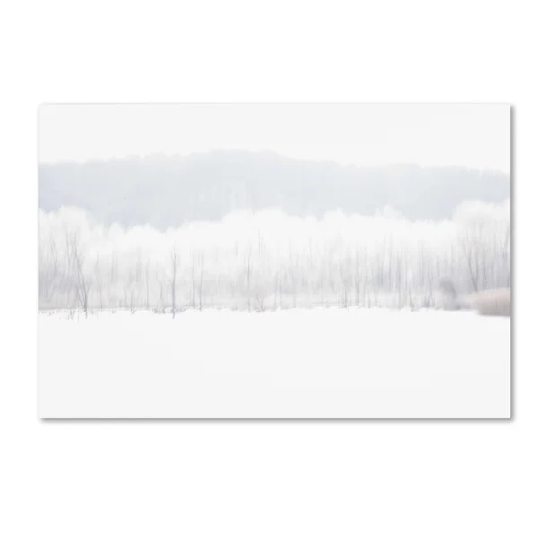 Trademark Fine Art Kurt Shaffer Abstract Winter Beaver Marsh Canvas Wall Art