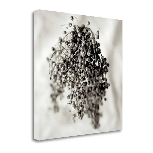 Tangletown Fine Art Florison, 38x22 by Alan Blaustein, Giclee Print on Gallery Wrap Canvas, 30x22x30x22