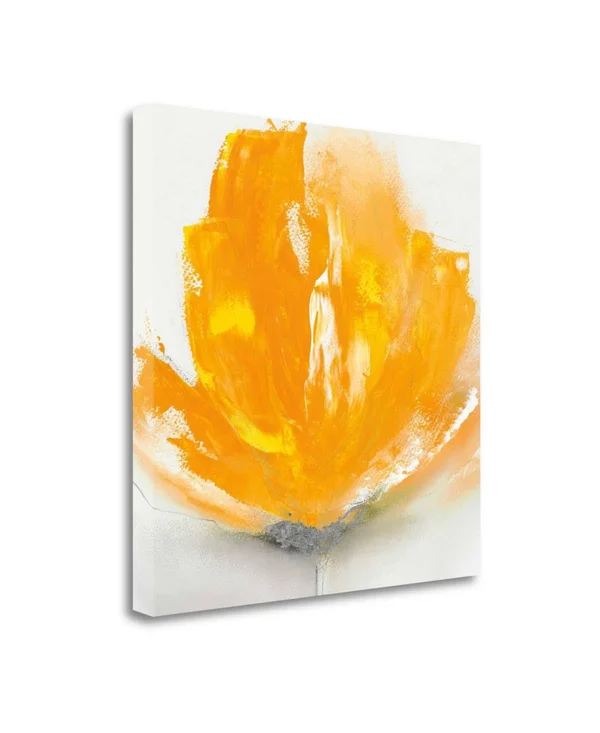 20x22 x 20x22 Wild Orange Sherbet I by J.P. Prior Fine Art Giclee Print