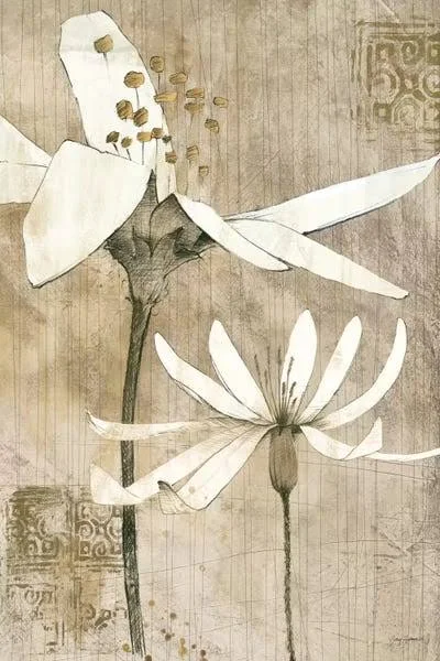 Framed Canvas Art - Pencil Floral II by Avery Tillmon ( Floral & Botanical > Flowers art)