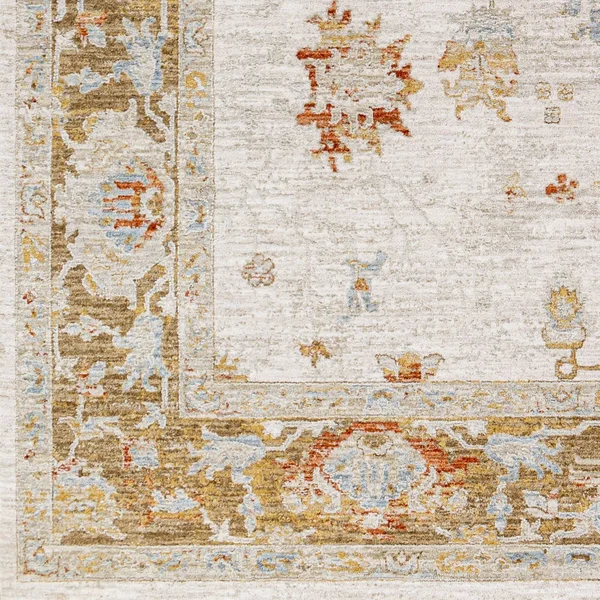 Traditional BHS-0097143 Avant GARDE Turkish Poly Runner Rug, 2&7x22 x 10&