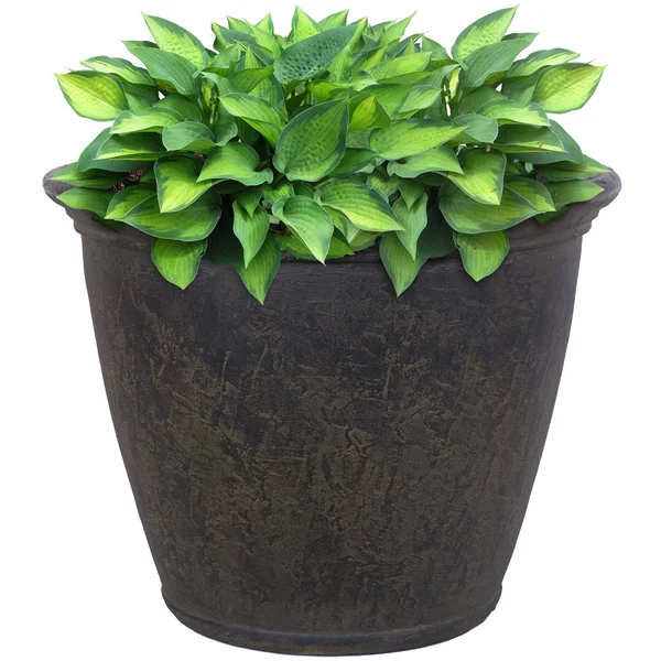 Sunnydaze Anjelica Outdoor Flower Pot Planter - Sable Finish - 24-Inch - 4-Pack
