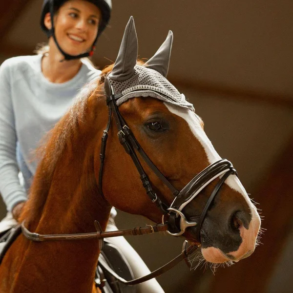 Horze Grayson Snaffle Bridle Pony, Dark Brown
