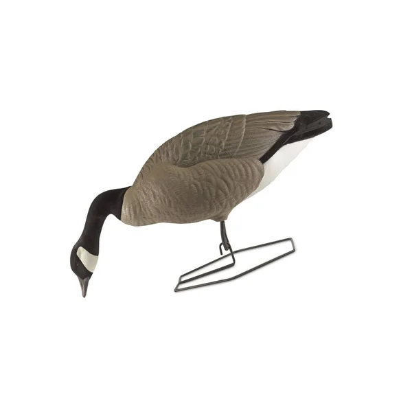 DOA Decoys Rogue Series Full-Body Canada Goose 6 Pack