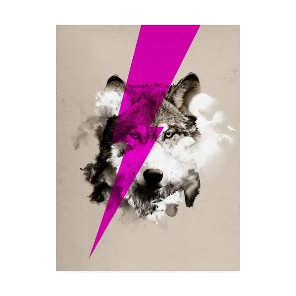 Trademark Art Robert Farka 'Wolf Rocks' Canvas Art