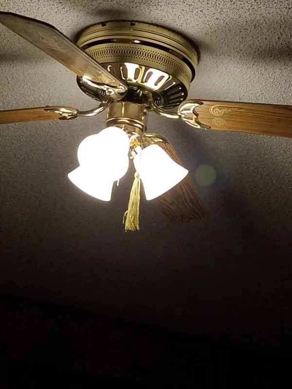 Westinghouse 3-Light LED Cluster Ceiling Fan Light Kit - Polished Brass 7784500