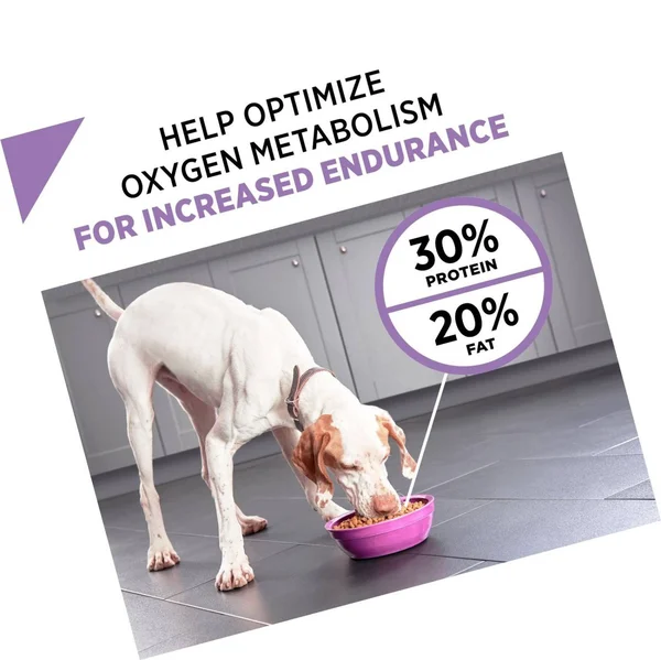 Purina Pro Plan Sport Performance 30/20 Formula Dry Dog Food
