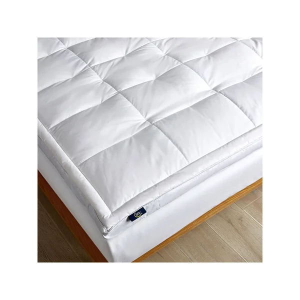Serta 2x22 Feather and Down Fiber Top Featherbed - Queen - White