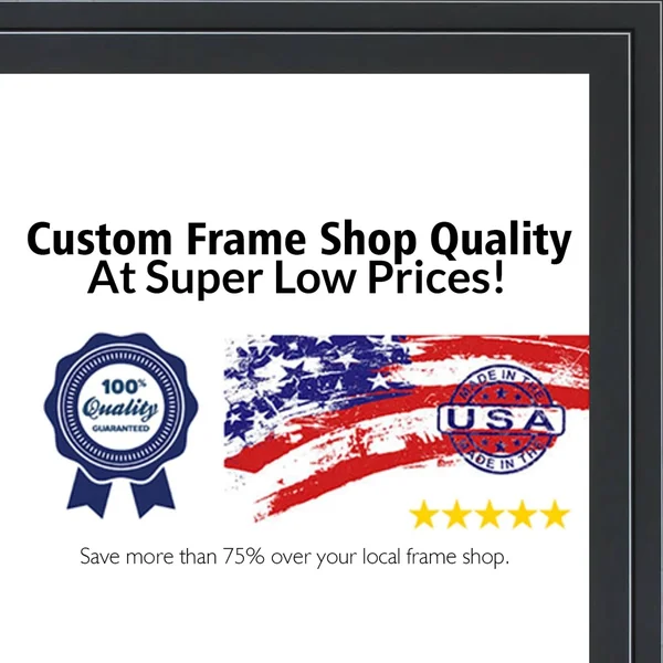 CustomPictureFrames 30x40 - 30 x 40 Black and Silver Pinstripe Solid Wood Frame with UV Framer&s Acrylic & Foam Board Backin