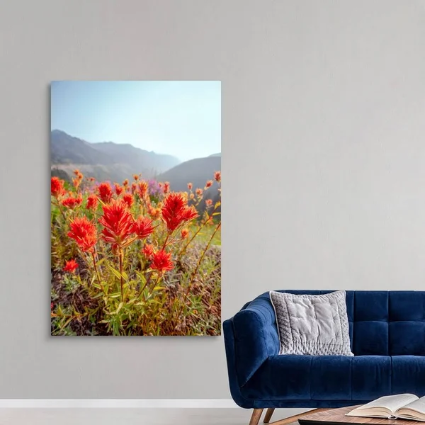 Scarlet Paintbrush, Mount Rainier National Park, Washington, Canvas Wall Art, 40x60, Great Big Canvas