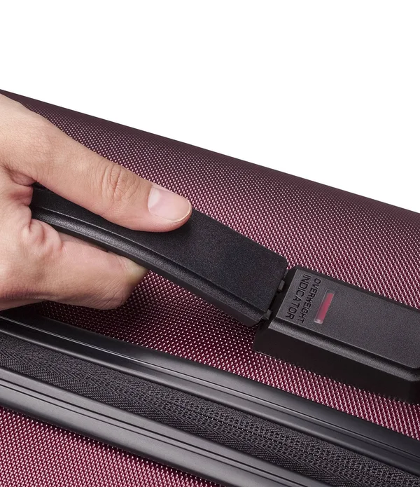 Delsey Cruise Hard Expandable Spinner - 25x22 - Black Cherry