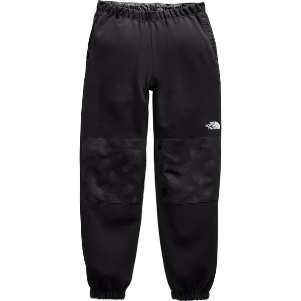 The North Face Men's Graphic Collection Fleece Pant: Black