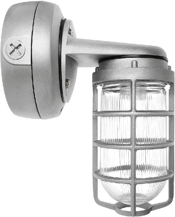 RAB VXBR1F26-3/4 - VP CFL Bracket 26W Quartz 3/4 with Glass Globe Cast Guard