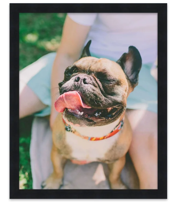 CustomPictureFrames 14x40 Black Wood Picture Frame - with Acrylic Front and Foam Board Backing