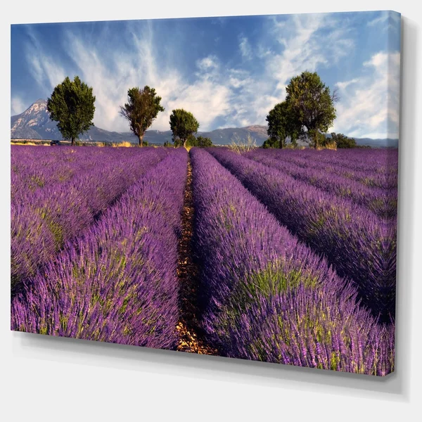 Design Art 'Lavender Field on Windy Afternoon' Photographic Print on Wrapped Canvas - Purple