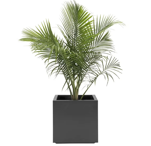 Seeley Cube Planter Modern Indoor Outdoor Square Fiberglass - NMN Designs Med - 14x22L x 14x22W x 14x22H, Gray