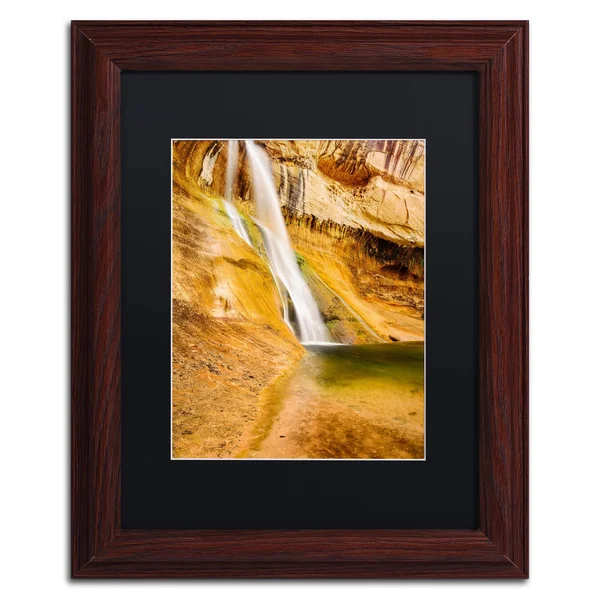 Trademark Fine Art &Desert Oasis& by Michael Blanchette Framed Photographic Print - Size: 14x22 H x 11x22 W x 0.5x22 D - Matte Co