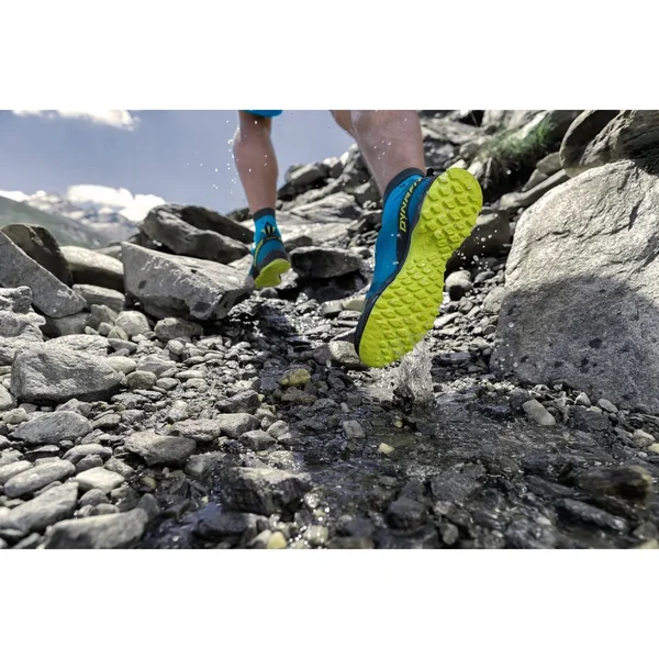 Dynafit Men's Speed Mtn GTX Shoe - 12 - Mykonos Blue - Lime Punch
