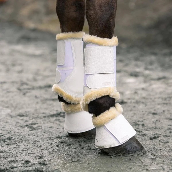 Horze Signature Bell Boots - L - Black
