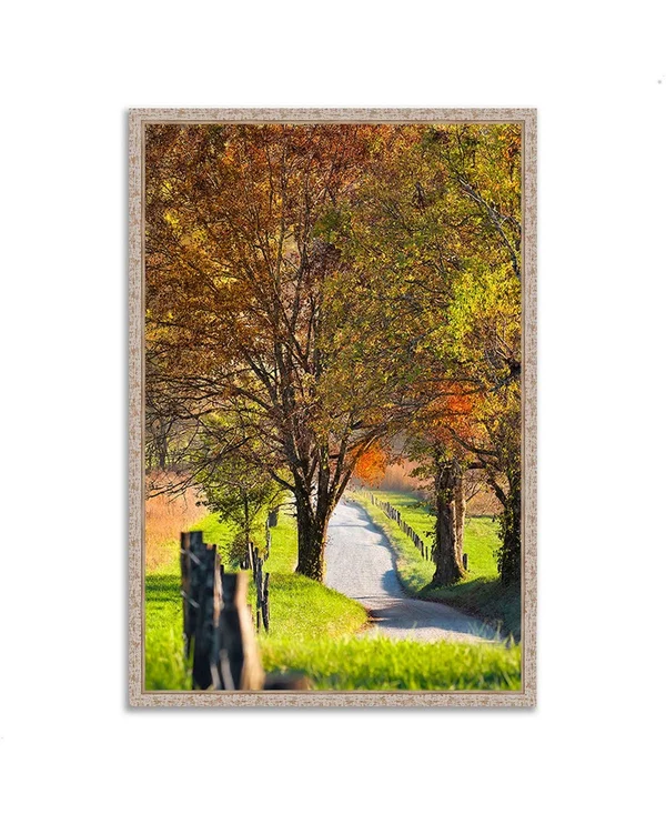 Tangletown Fine Art Country Road I Giclee on Gallery Wrap Canvas 19994-3857p127